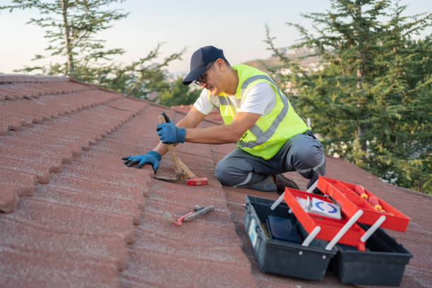 Roof Installation Near Me in Wadley, GA